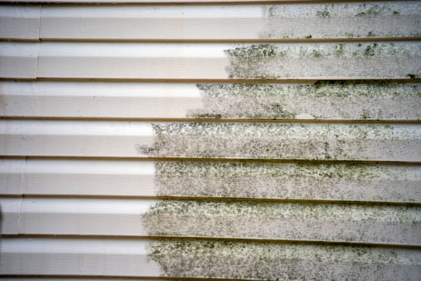 Siding Removal and Disposal in Woodlawn, OH